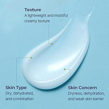 [Torriden] DIVE IN Düşük Moleküler Hyaluronik Asit Kremi 80ml