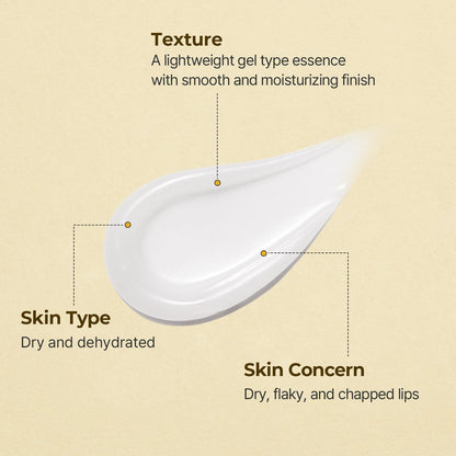 [Torriden] Solid In Ceramide Dudak Özü 11ml